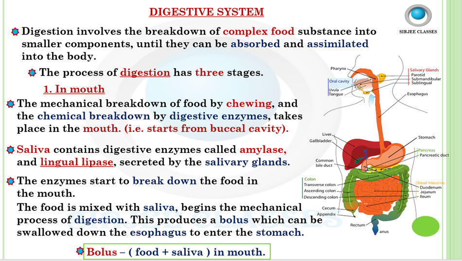 product-preview-thumbnail-2