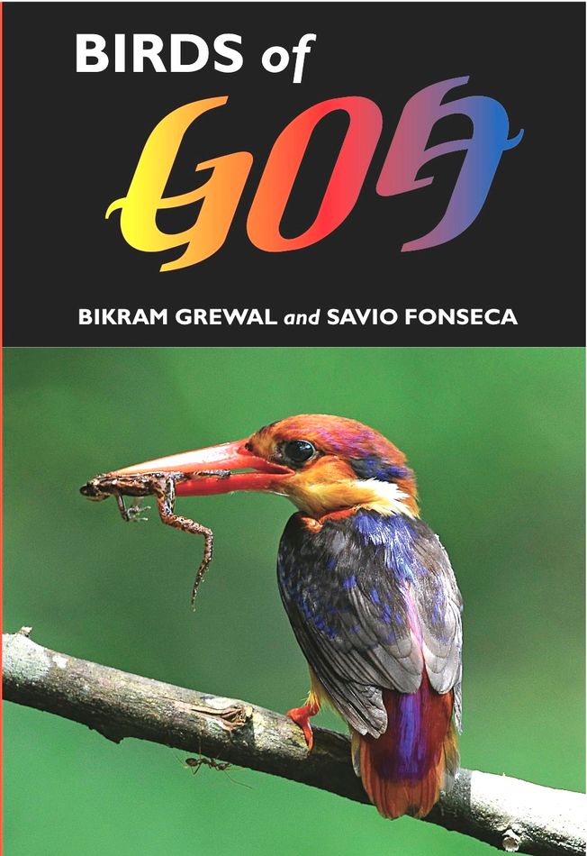 Photographic Guide to the Birds of Goa by Bikram Grewal & Savio Fonseca