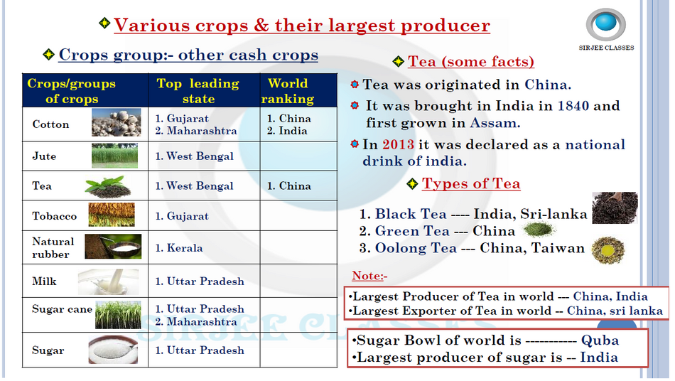 product-preview-thumbnail-2
