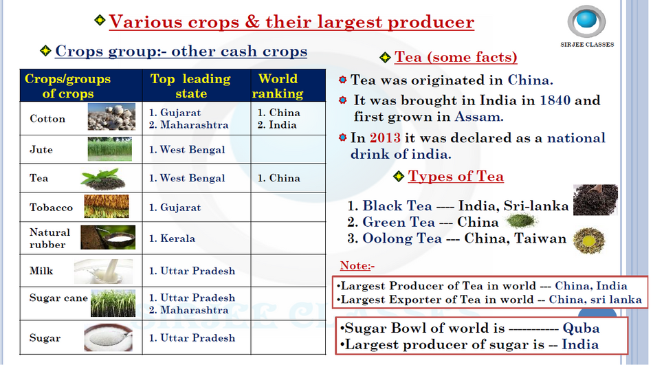 product-preview-thumbnail-4