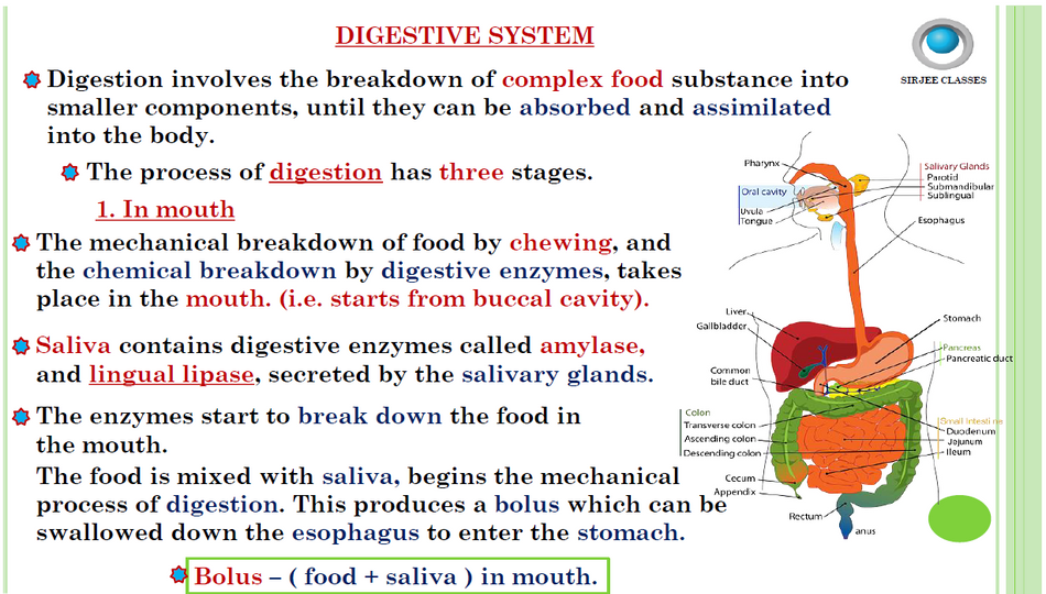 product-preview-thumbnail-1