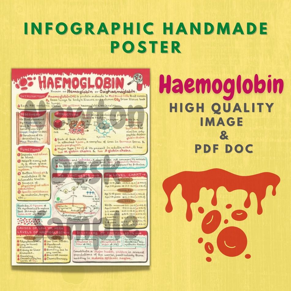 Hemoglobin haemoglobin infographic handmade poster biology notes 