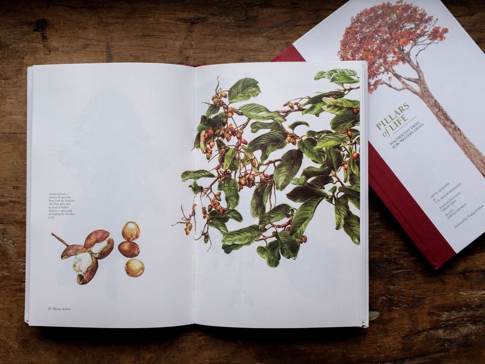 Book Pillars of Life