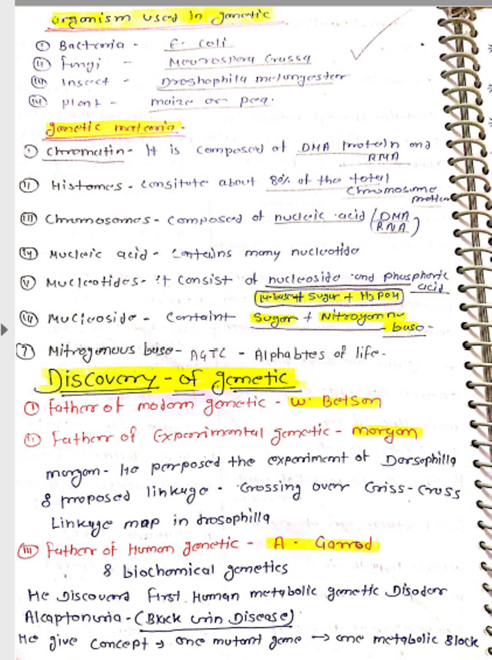 And short notes handwritten